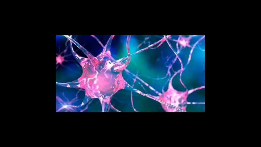 Las células humanas pueden convertir secuencias de ARN en ADN, según estudio