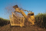 La mecanizaci&oacute;n agr&iacute;cola avanza ante el encarecimiento de la mano de obra en el pa&iacute;s
