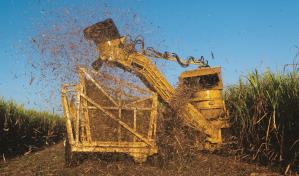 El Ingenio Central Romana finaliza zafra de m&aacute;s de m&aacute;s de 3.2 MM  de toneladas de ca&ntilde;a