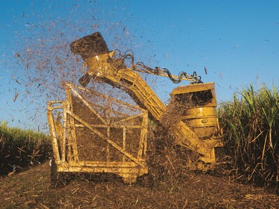 Agricultural mechanization advances in Dominican Republic amid labor scarcity