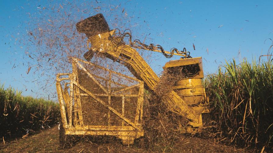 El Ingenio Central Romana finaliza zafra de más de más de 3.2 MM  de toneladas de caña