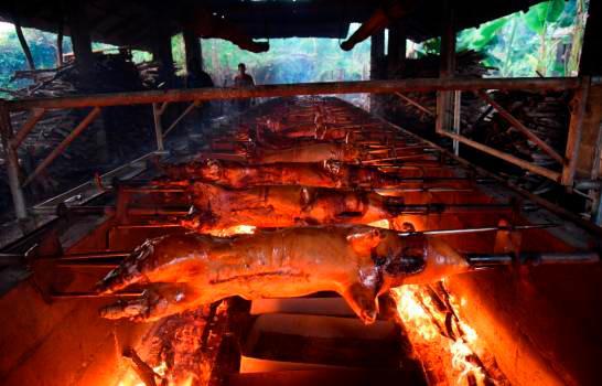 Productores garantizan pollos, huevos y cerdos durante las navidades 