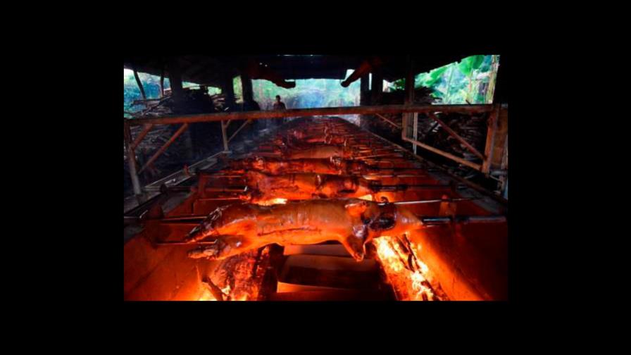 Productores garantizan pollos, huevos y cerdos durante las navidades Productores garantizan pollos, huevos y cerdos durante las navidades