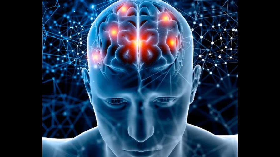 Hallan cobre y hierro elementales en el cerebro de dos pacientes de alzheimer