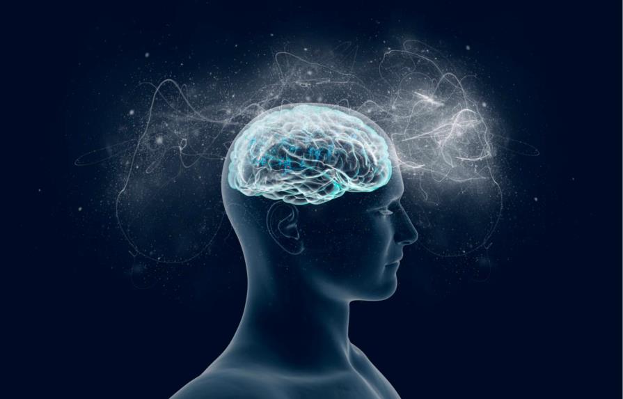 Cuando falta un hemisferio del cerebro la otra mitad compensa las conexiones
