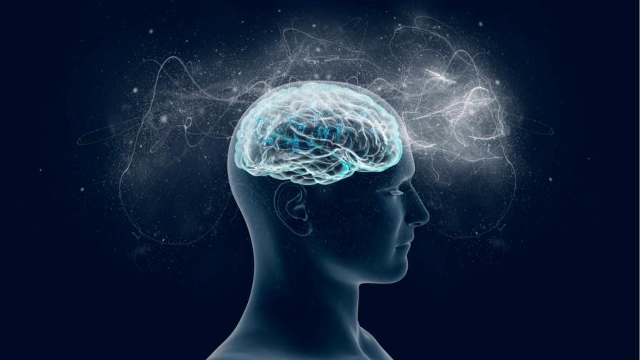 Cuando falta un hemisferio del cerebro la otra mitad compensa las conexiones Cuando falta un hemisferio del cerebro la otra mitad compensa las conexiones