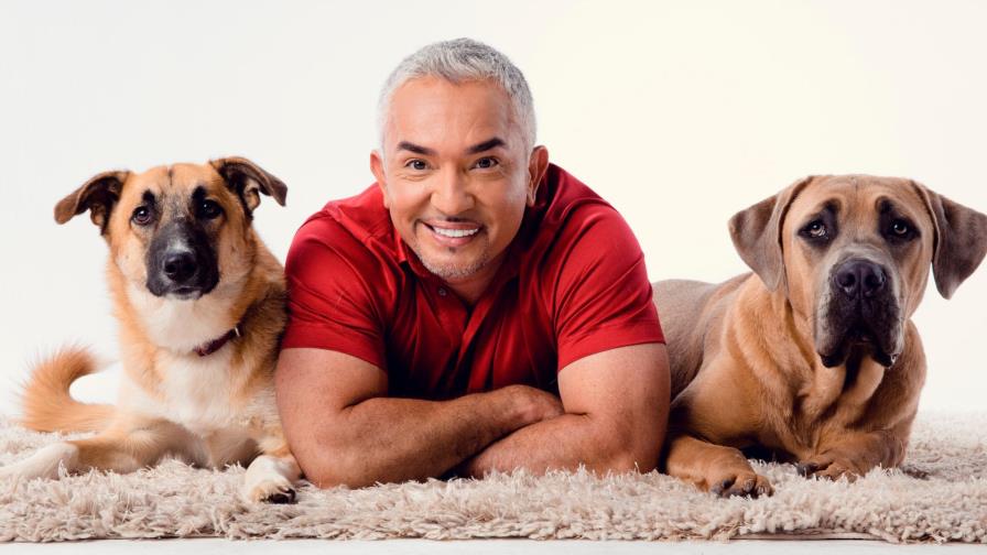 César Millan: “Antes de ser maestro tienes que aprender. Yo entreno humanos y rehabilito a los perros”