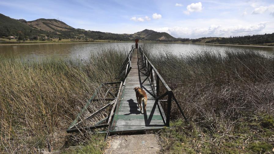 La laguna en Colombia que está en riesgo de desaparecer