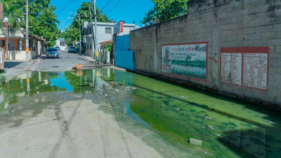Gigante charco de agua verde daña la salud de moradores Villa Mella