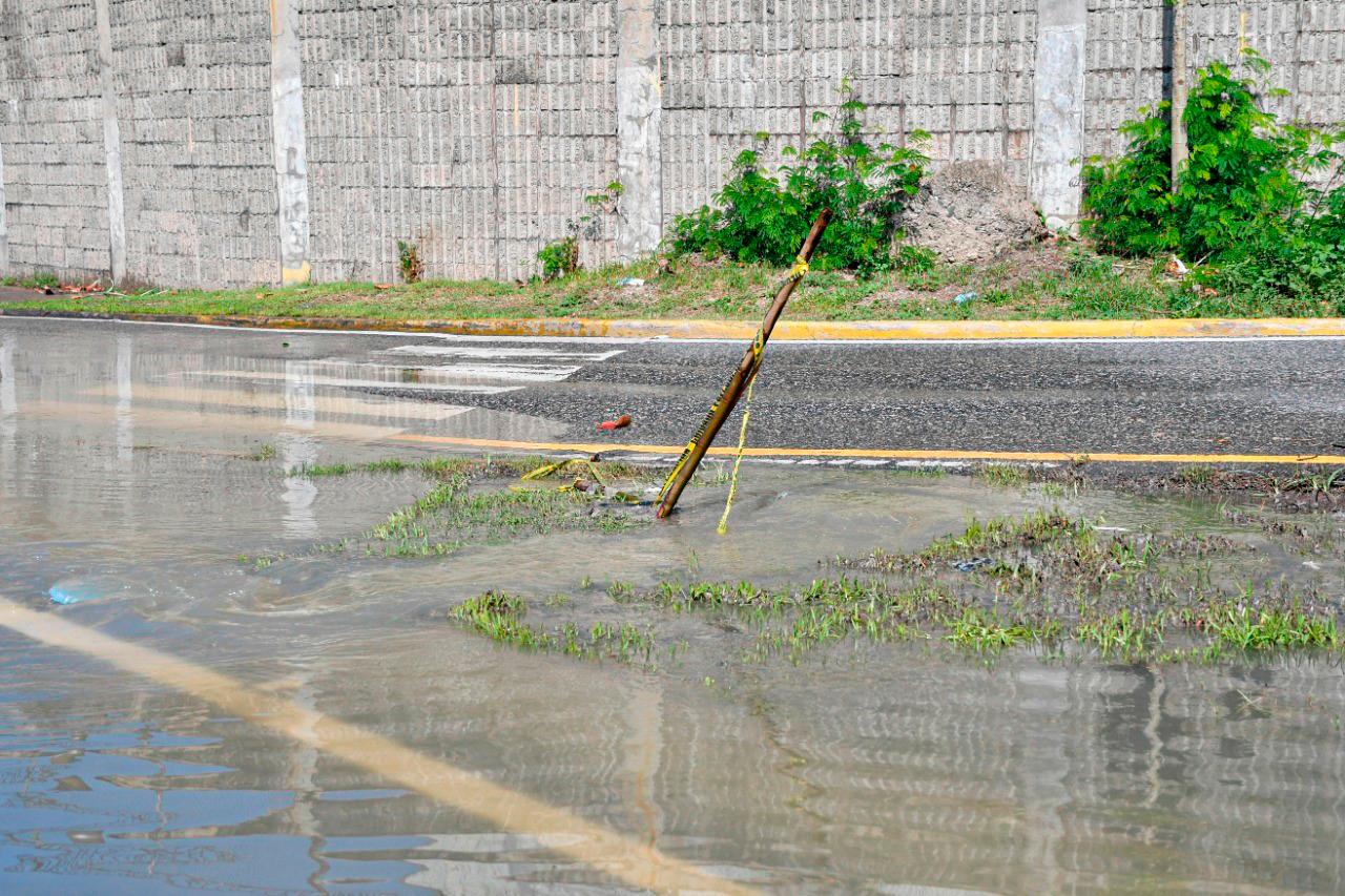 De este lugar brota el agua sanitaria. 