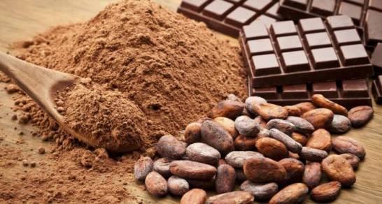 “¿Se considera el chocolate un nutracéutico?”