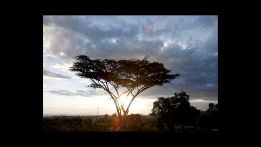 Los eventos climáticos extremos ya no son exclusivos del tercer mundo