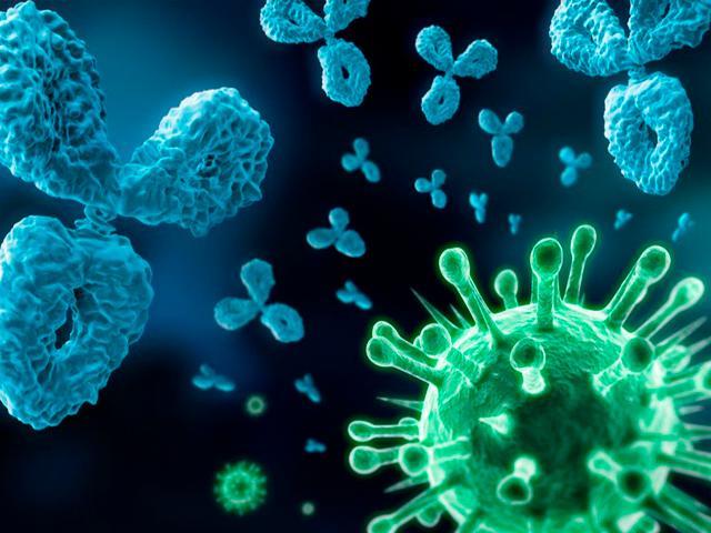 Cóctel de anticuerpos nomoclonales es eficaz con las variantes de coronavirus
