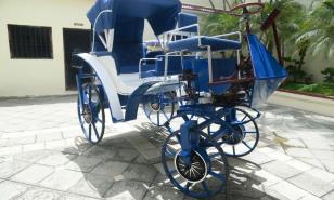 Coches eléctricos: nueva alternativa de recorrer la Ciudad Colonial sin maltratar caballos