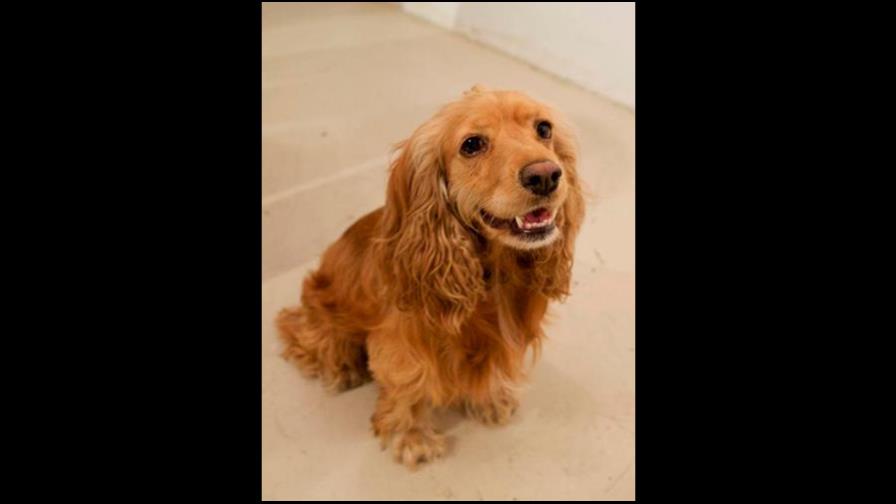 Problemas en los oídos