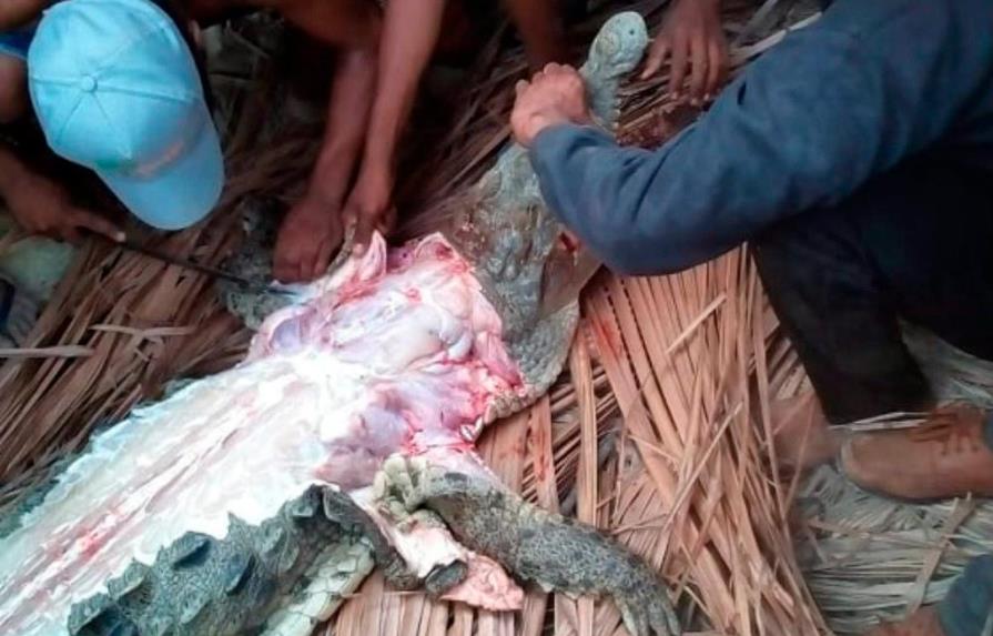 Indagan captura y posterior muerte de cocodrilo en Tamayo