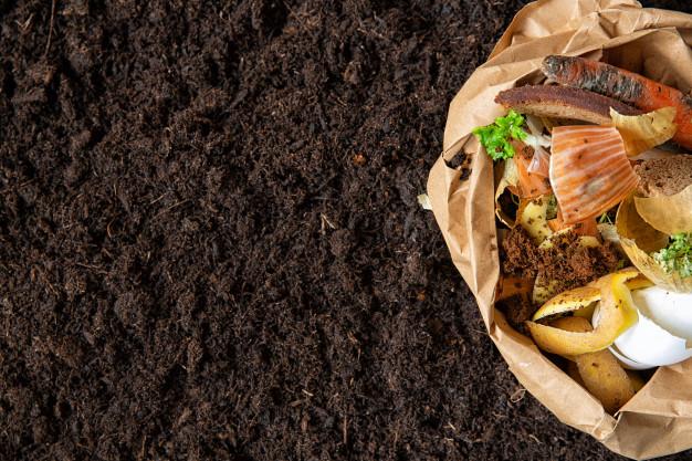 Infografía