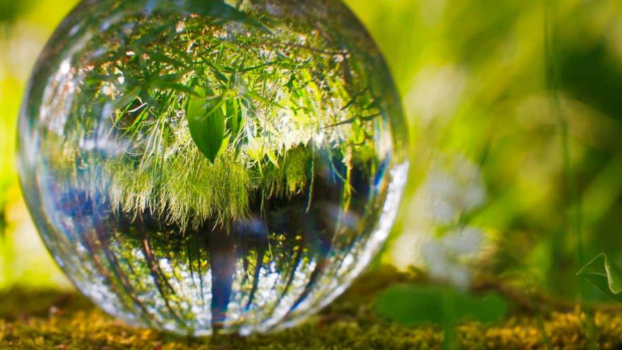 El nuevo diccionario medioambiental que triunfa en la Cumbre de Madrid El nuevo diccionario medioambiental que triunfa en la Cumbre de Madrid