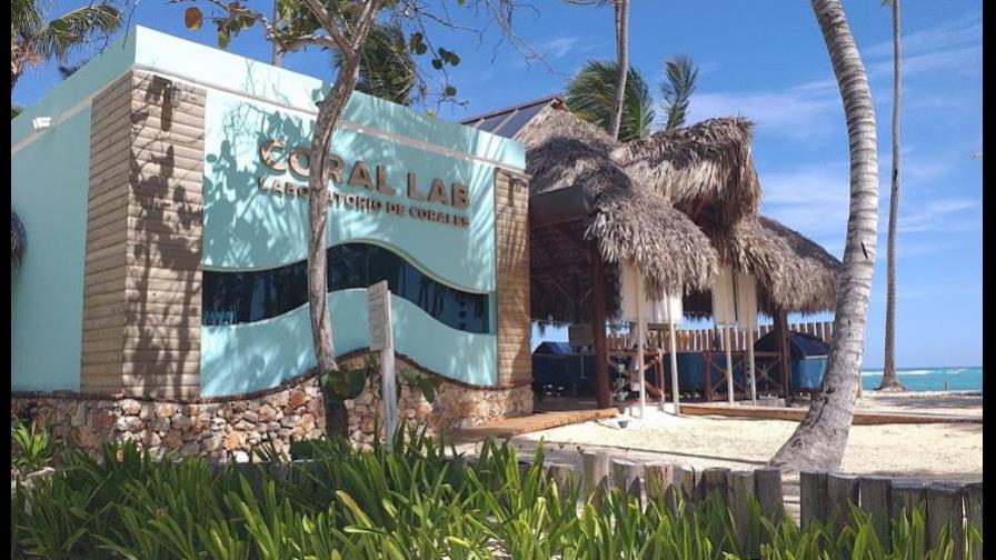 Iberostar resalta investigaciones de laboratorio de corales instalado en RD