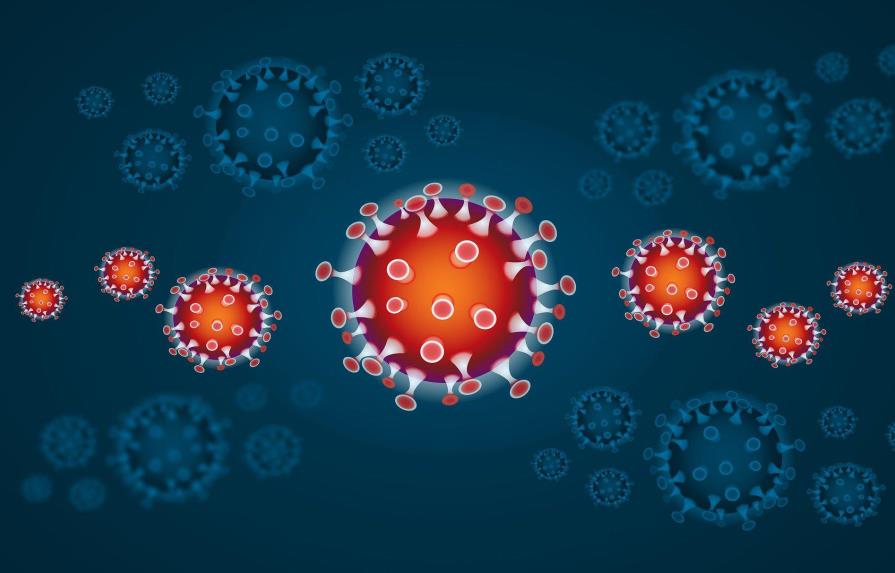 El Distrito y otras cuatro provincias poseen el mayor nivel de infestación por coronavirus