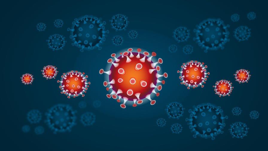 El Distrito y otras cuatro provincias poseen el mayor nivel de infestación por coronavirus El Distrito y otras cuatro provincias poseen el mayor nivel de infestación por coronavirus