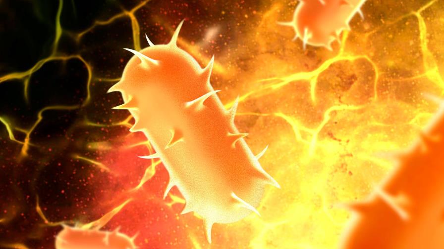 El coronavirus tiene una mutación cada 15 días, según experto 