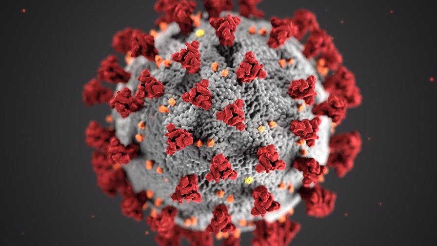 Científicos argentinos secuencian el genoma completo del nuevo coronavirus SARS-CoV-2 Científicos argentinos secuencian el genoma completo del nuevo coronavirus SARS-CoV-2