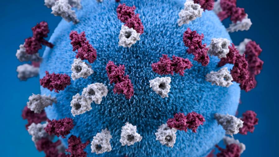 OMS advierte que la nueva variante es de riesgo y posiblemente más contagiosa