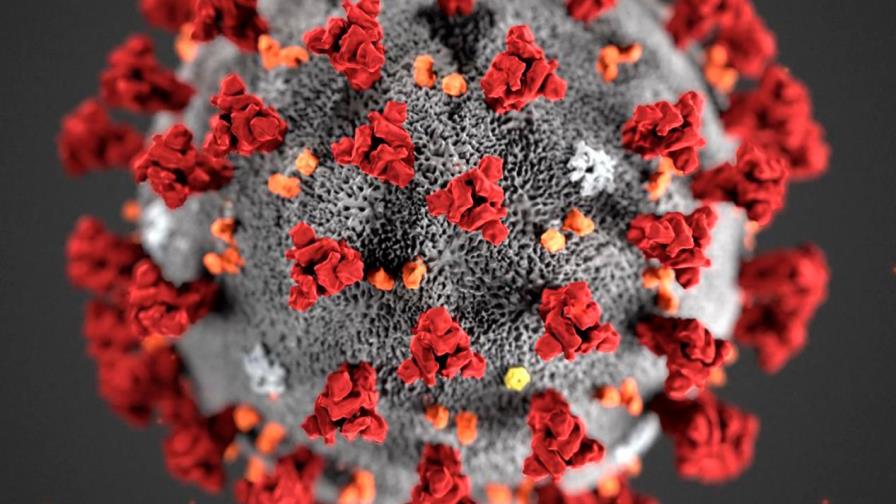 El nuevo coronavirus tiene nombre: la OMS lo bautiza como “Covid-19” El nuevo coronavirus tiene nombre: la OMS lo bautiza como “Covid-19”