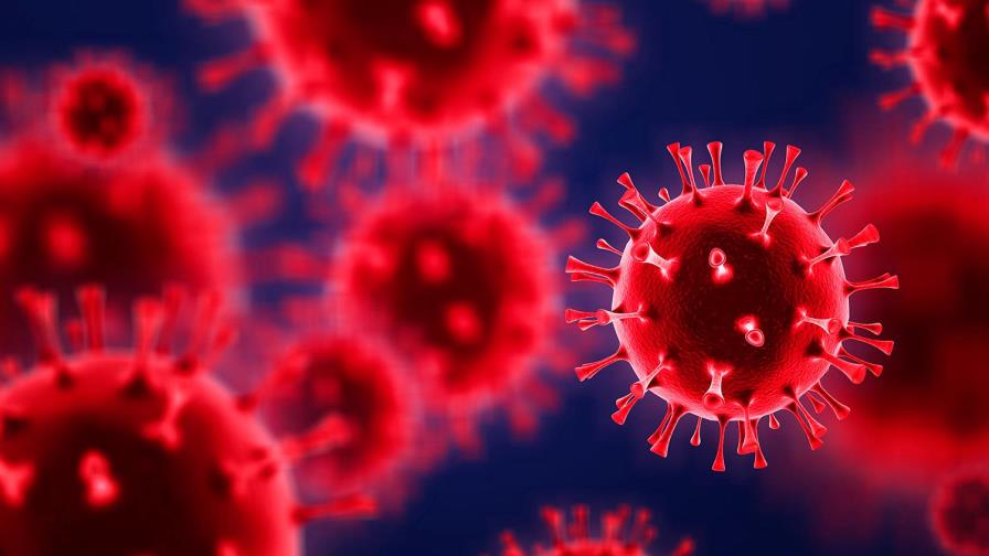 Mutaciones y variantes del SARS-Cov-2