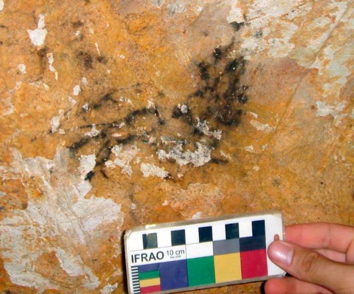Descubren un nuevo sitio de arte rupestre en una cueva del occidente de Cuba