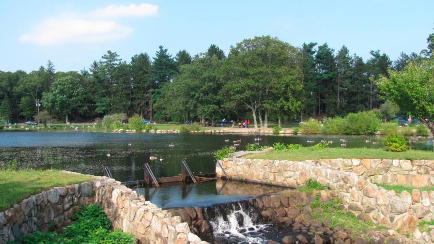 Dos niños se ahogan en parque porque no sabían nadar Dos niños se ahogan en parque porque no sabían nadar