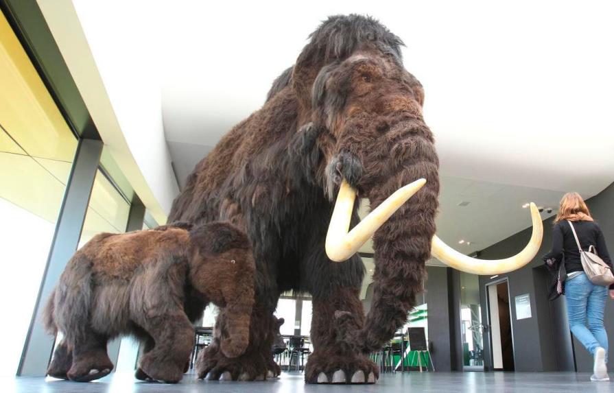 El ADN más antiguo del mundo secuenciado en un mamut 