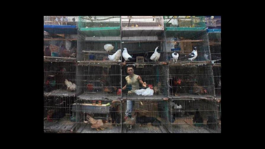 OMS recomienda mejoras en mercados y prohibir la carne de animales salvajes