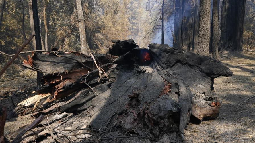 Los bomberos confían en controlar incendios en California Los bomberos confían en controlar incendios en California