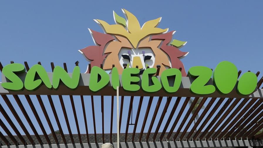 Padre mete a hija al área de elefantes en zoo de San Diego