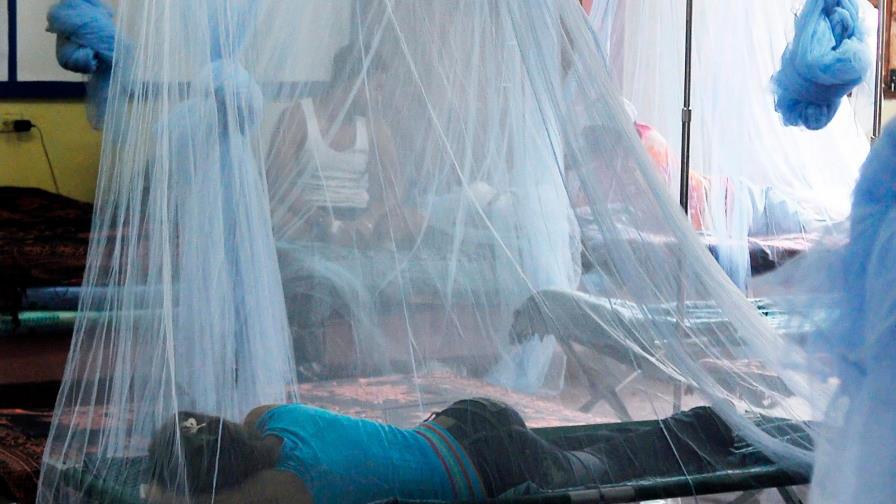 Sube a 177 la cifra de muertos por dengue hemorrágico en 2019 en Honduras Sube a 177 la cifra de muertos por dengue hemorrágico en 2019 en Honduras