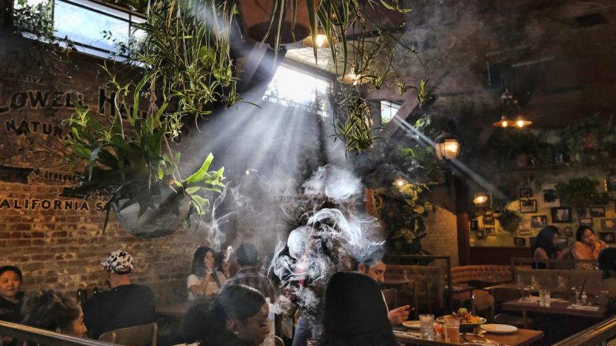 EEUU busca despenalizar la marihuana a nivel federal EEUU busca despenalizar la marihuana a nivel federal