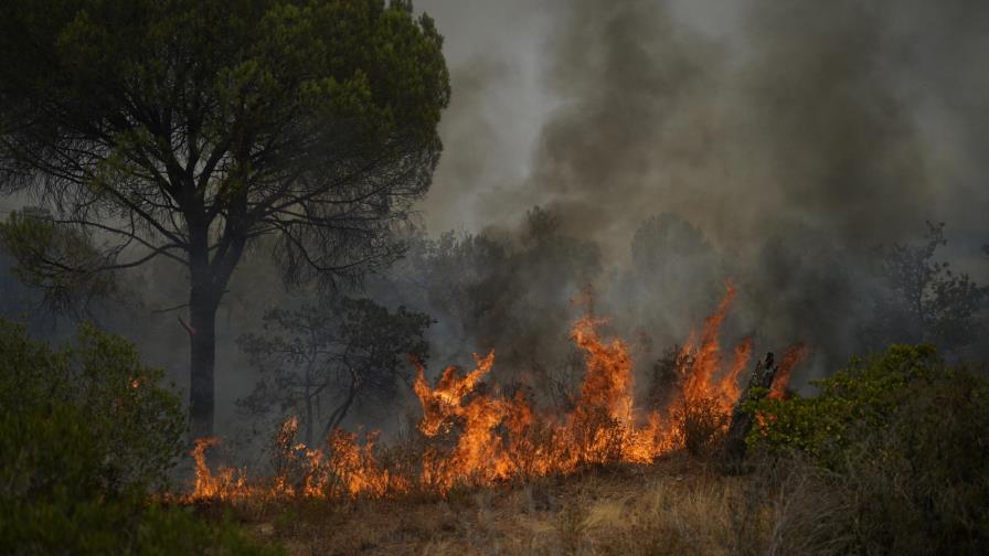 Miles huyen de casas, campamentos por incendios en Francia