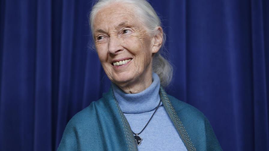 Jane Goodall gana el Premio Templeton
