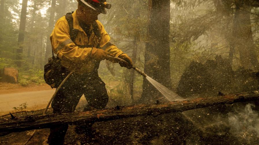 Temen que vientos aviven incendios forestales en California
