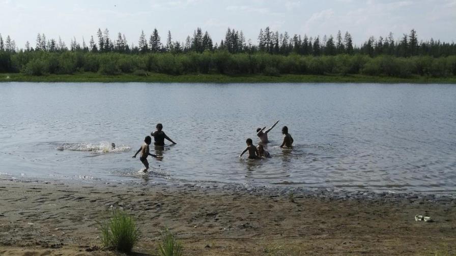 ONU investiga versiones de calor récord en el Ártico