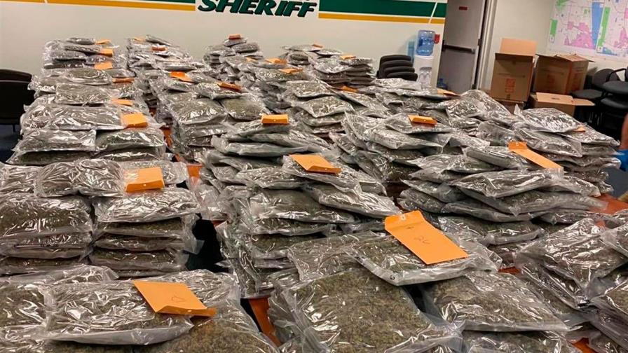 Nadie reclama 350 kilos de marihuana que alguacil de La Florida quiere devolver