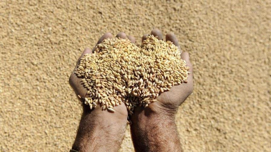 Estudio indica que 20% de exportaciones brasileñas a la UE proviene de deforestación ilegal