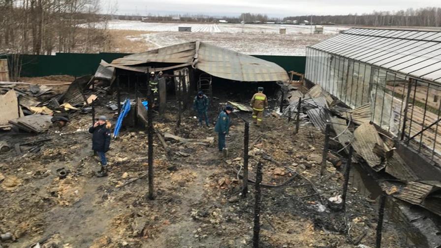 8 vietnamitas muertos en incendio en invernadero en Rusia