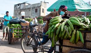 Cebolla y pl&aacute;tanos, productos que m&aacute;s han aumentado sus precios  