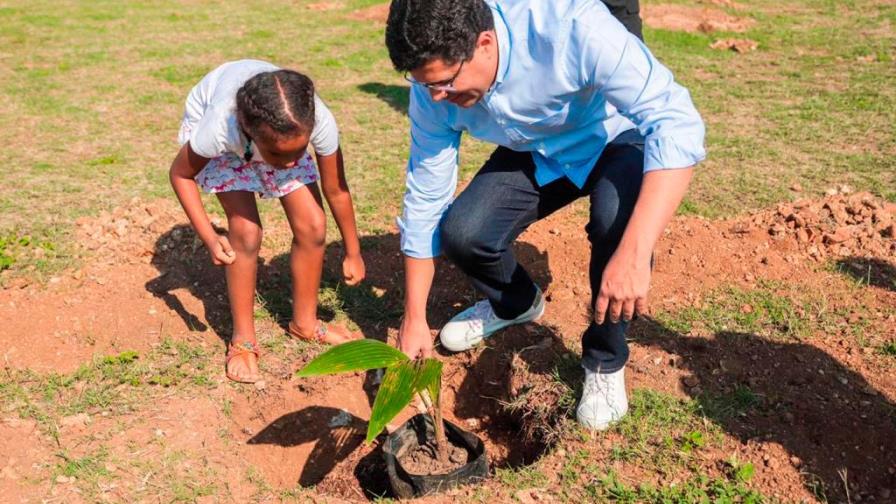 Alcaldía siembra árboles en distintas partes de la ciduad