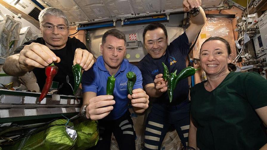 Astronautas de SpaceX usarán pañales de regreso a casa Astronautas de SpaceX usarán pañales de regreso a casa