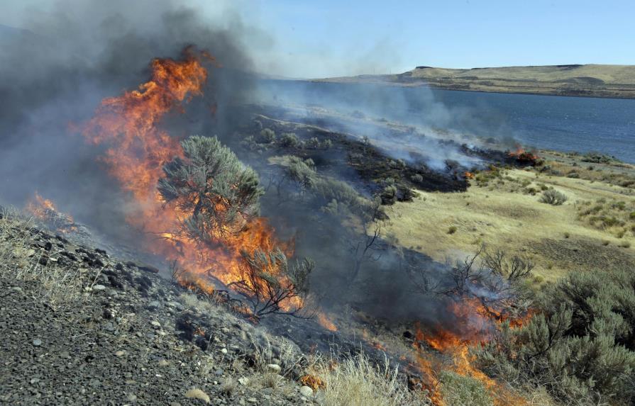 EEUU lanza plan para prevenir incendios forestales en oeste
