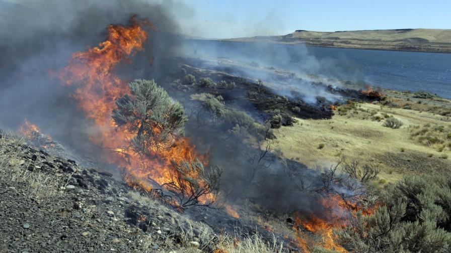 EEUU lanza plan para prevenir incendios forestales en oeste EEUU lanza plan para prevenir incendios forestales en oeste
